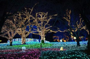 滋賀県 イルミネーション 2021年版